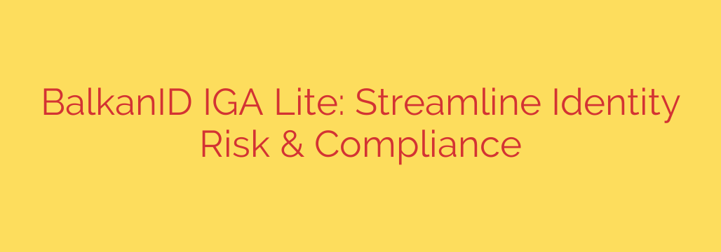 BalkanID IGA Lite: Streamline Identity Risk & Compliance
