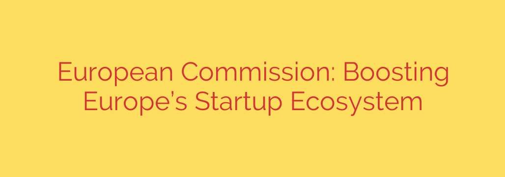 European Commission: Boosting Europe’s Startup Ecosystem