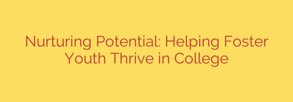 Nurturing Potential: Helping Foster Youth Thrive in College
