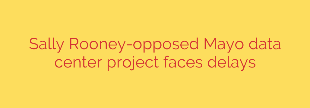Sally Rooney-opposed Mayo data center project faces delays