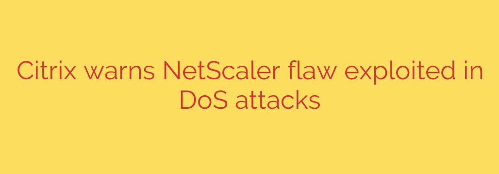Citrix warns NetScaler flaw exploited in DoS attacks