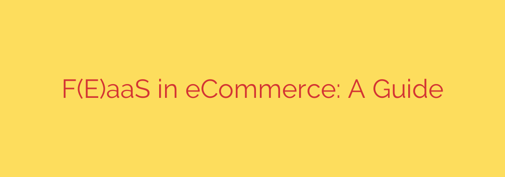 F(E)aaS in eCommerce: A Guide