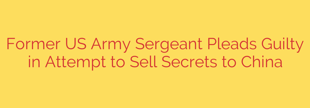 Former US Army Sergeant Pleads Guilty in Attempt to Sell Secrets to China