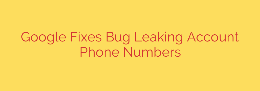 Google Fixes Bug Leaking Account Phone Numbers