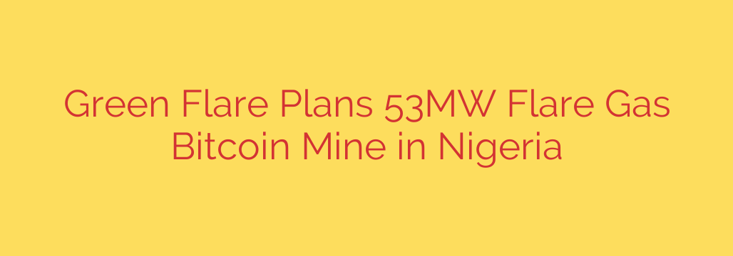 Green Flare Plans 53MW Flare Gas Bitcoin Mine in Nigeria