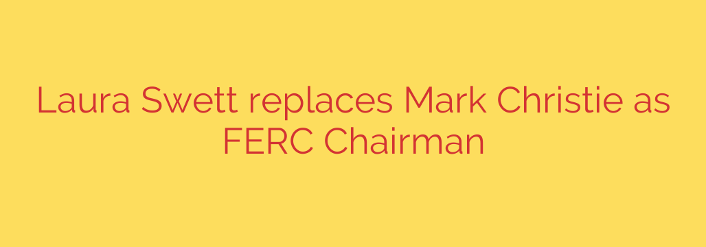 Laura Swett replaces Mark Christie as FERC Chairman