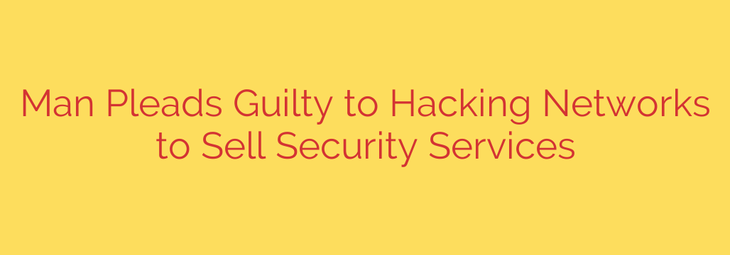 Man Pleads Guilty to Hacking Networks to Sell Security Services