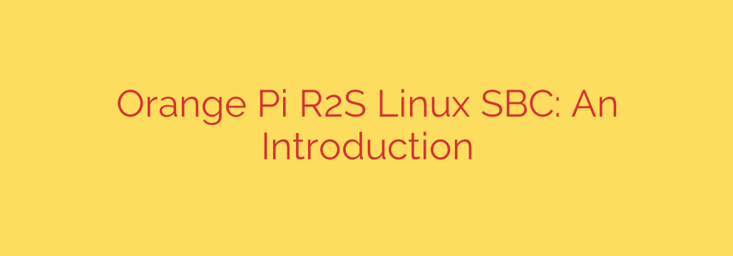 Orange Pi R2S Linux SBC: An Introduction