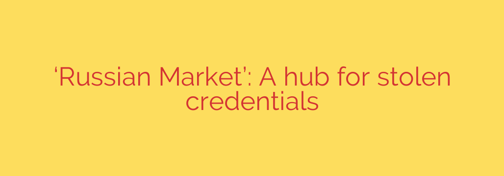 ‘Russian Market’: A hub for stolen credentials