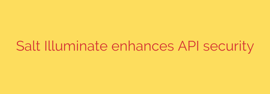 Salt Illuminate enhances API security