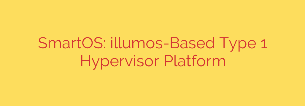SmartOS: illumos-Based Type 1 Hypervisor Platform