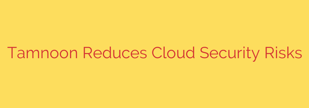 Tamnoon Reduces Cloud Security Risks