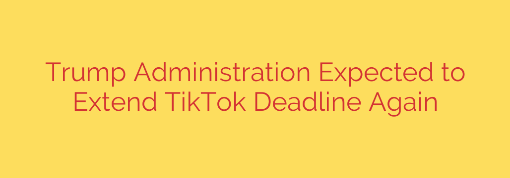 Trump Administration Expected to Extend TikTok Deadline Again