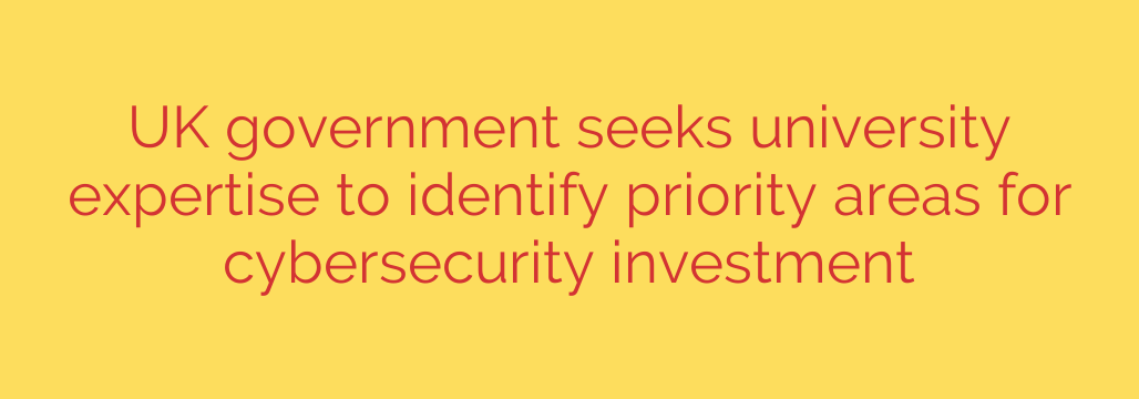 UK government seeks university expertise to identify priority areas for cybersecurity investment