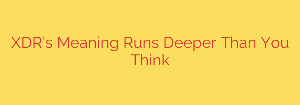 XDR’s Meaning Runs Deeper Than You Think