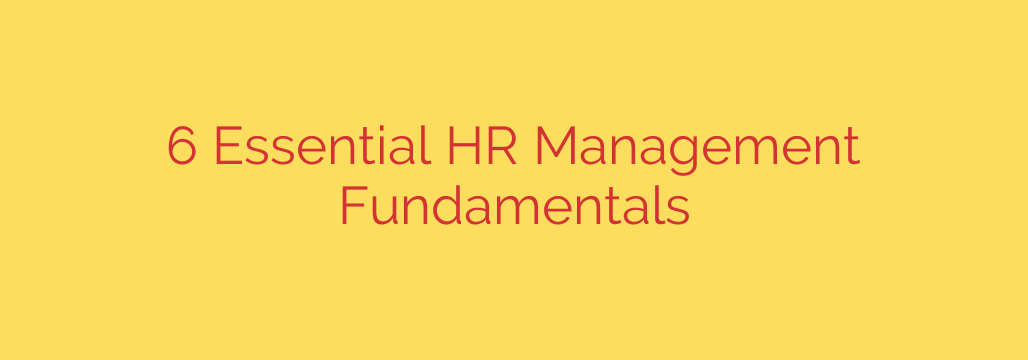 6 Essential HR Management Fundamentals