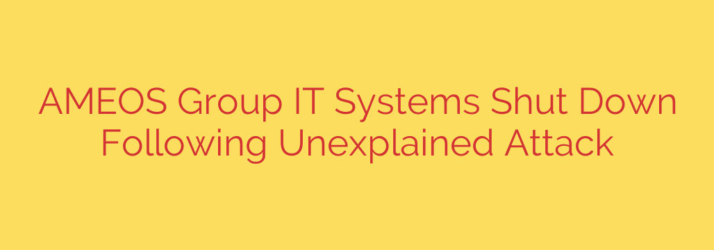 AMEOS Group IT Systems Shut Down Following Unexplained Attack
