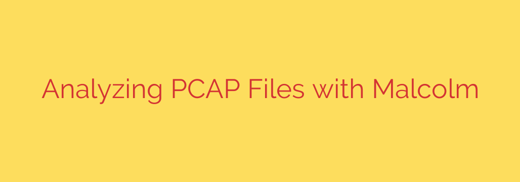 Analyzing PCAP Files with Malcolm