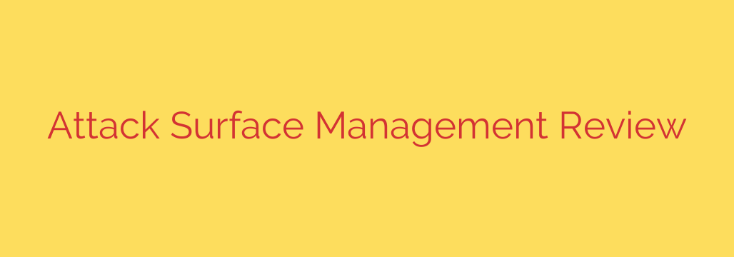 Attack Surface Management Review