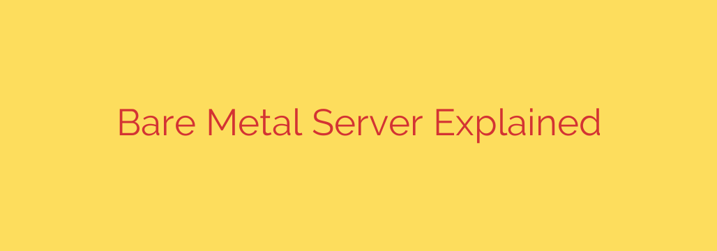 Bare Metal Server Explained