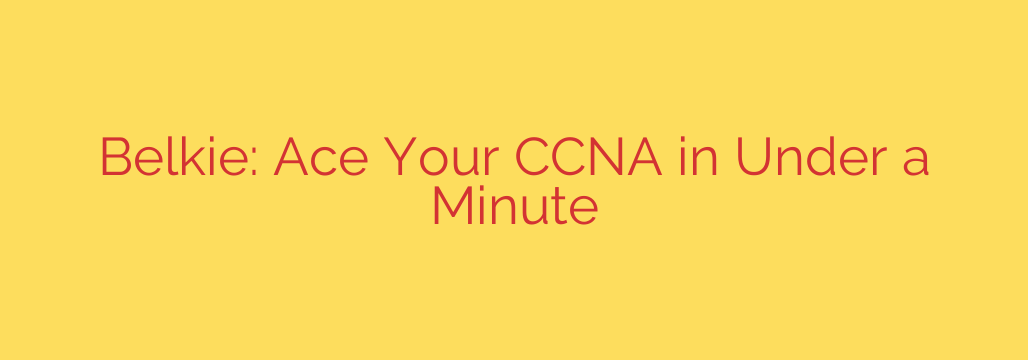 Belkie: Ace Your CCNA in Under a Minute