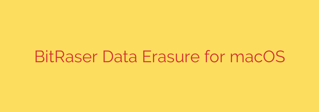 BitRaser Data Erasure for macOS