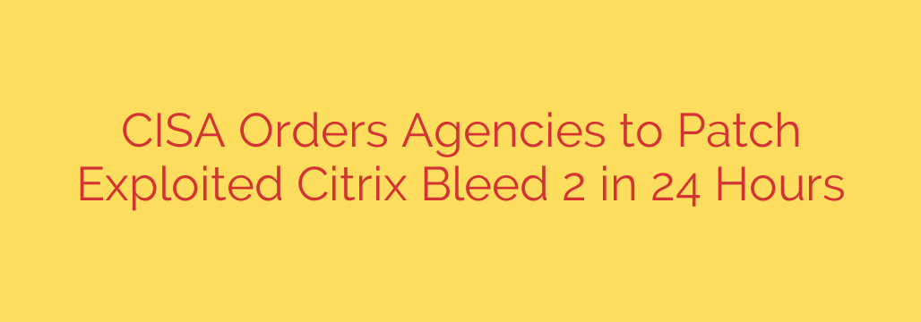 CISA Orders Agencies to Patch Exploited Citrix Bleed 2 in 24 Hours