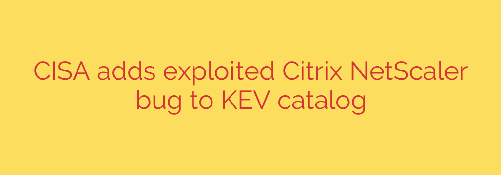 CISA adds exploited Citrix NetScaler bug to KEV catalog