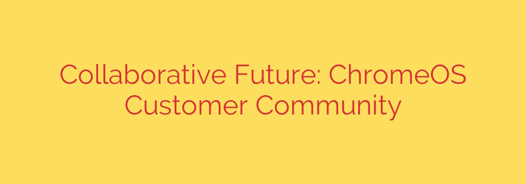 Collaborative Future: ChromeOS Customer Community