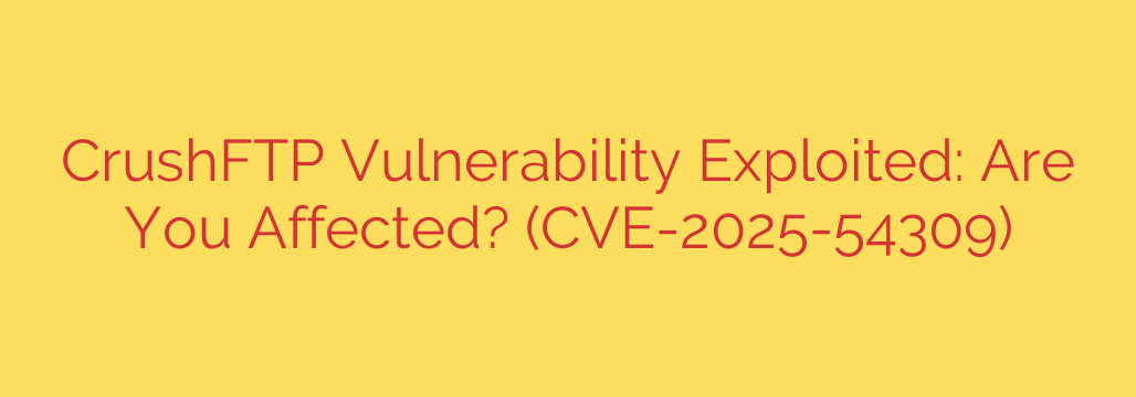CrushFTP Vulnerability Exploited: Are You Affected? (CVE-2025-54309)
