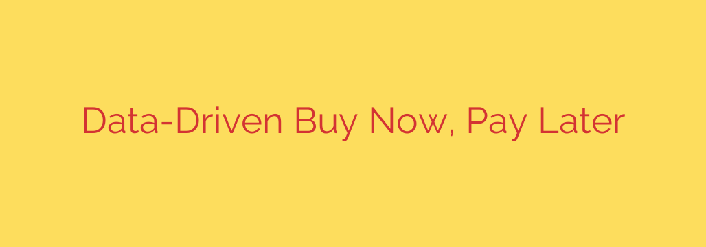 Data-Driven Buy Now, Pay Later