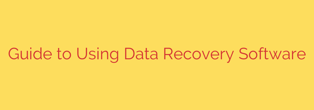 Guide to Using Data Recovery Software