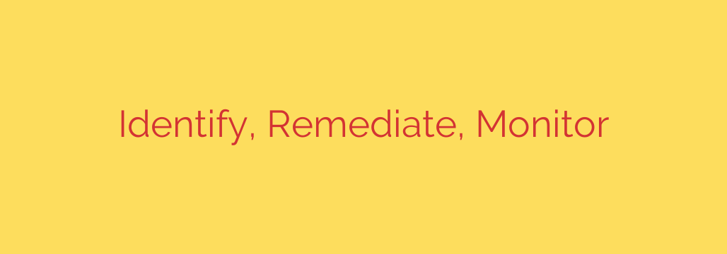 Identify, Remediate, Monitor