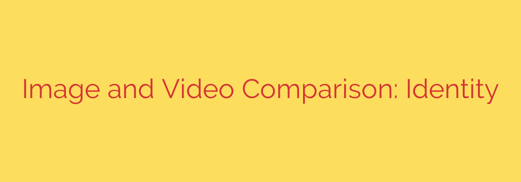 Image and Video Comparison: Identity