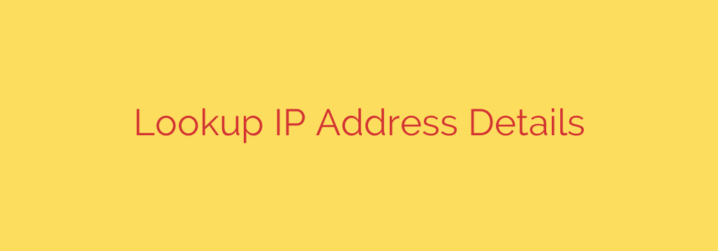 Lookup IP Address Details