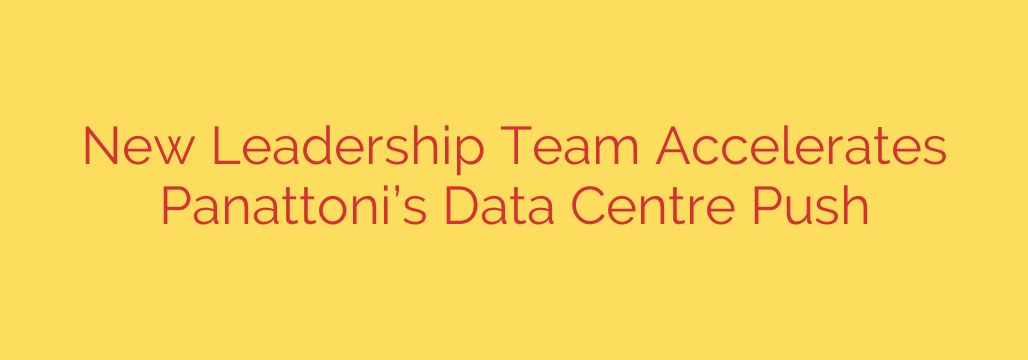 New Leadership Team Accelerates Panattoni’s Data Centre Push