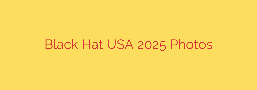 Black Hat USA 2025 Photos