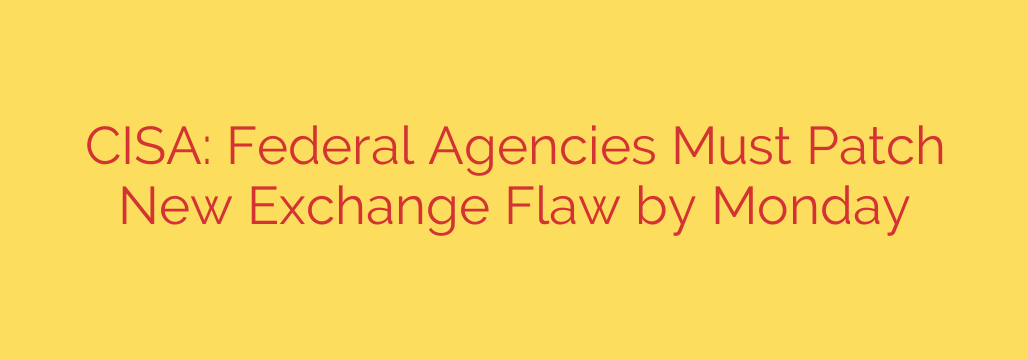 CISA: Federal Agencies Must Patch New Exchange Flaw by Monday