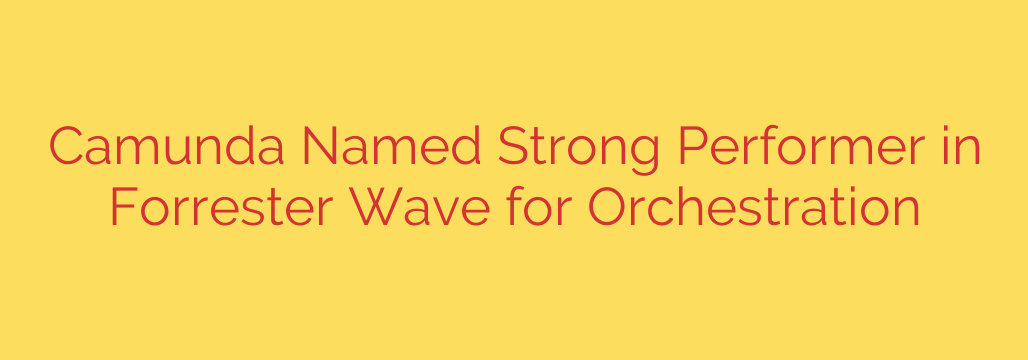 Camunda Named Strong Performer in Forrester Wave for Orchestration