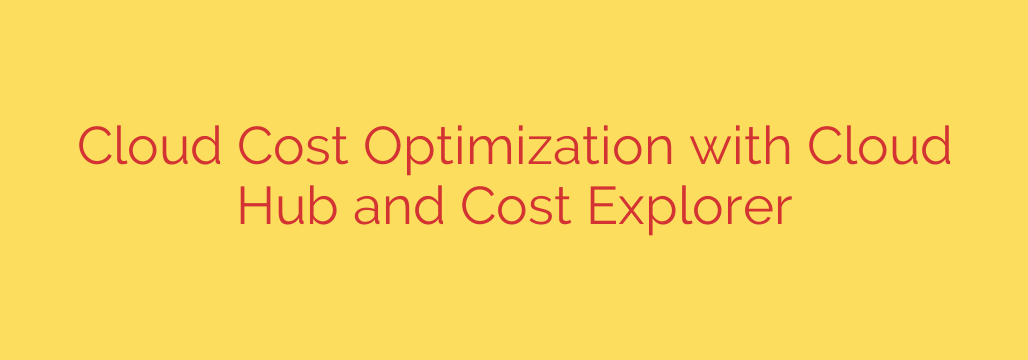 Cloud Cost Optimization with Cloud Hub and Cost Explorer