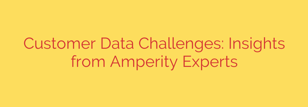 Customer Data Challenges: Insights from Amperity Experts