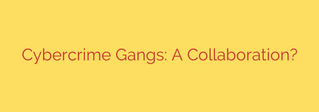 Cybercrime Gangs: A Collaboration?