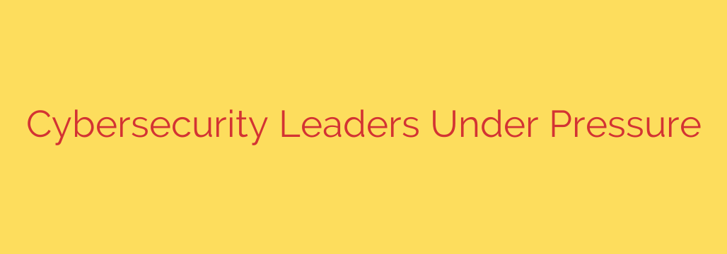 Cybersecurity Leaders Under Pressure