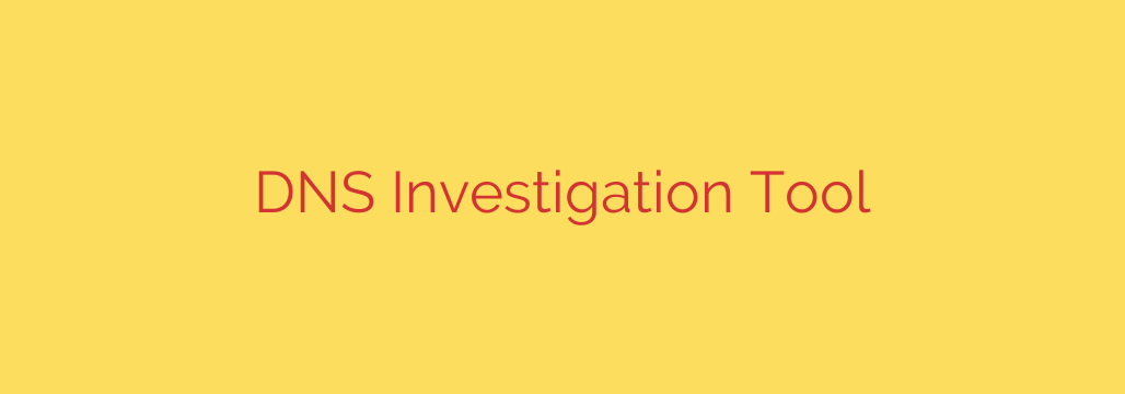 DNS Investigation Tool