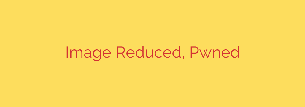 Image Reduced, Pwned
