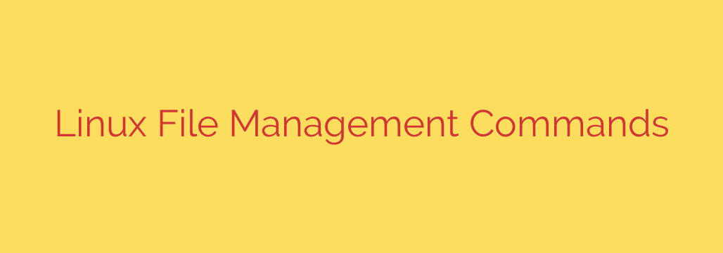 Linux File Management Commands