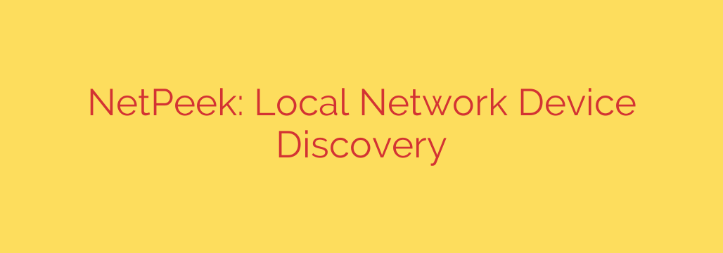 NetPeek: Local Network Device Discovery