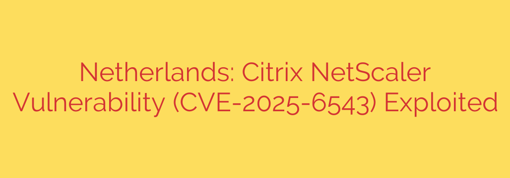 Netherlands: Citrix NetScaler Vulnerability (CVE-2025-6543) Exploited
