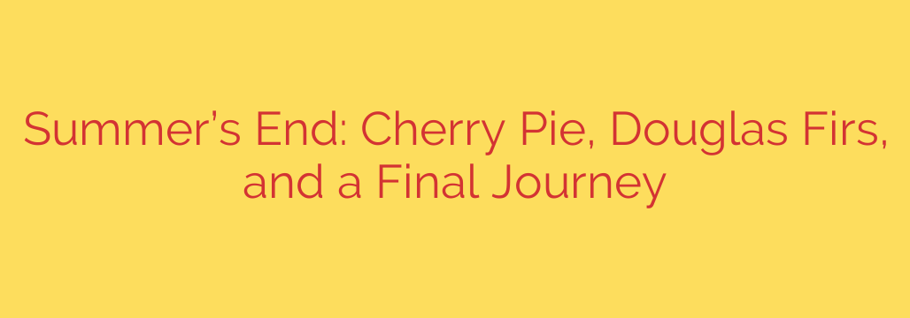 Summer’s End: Cherry Pie, Douglas Firs, and a Final Journey