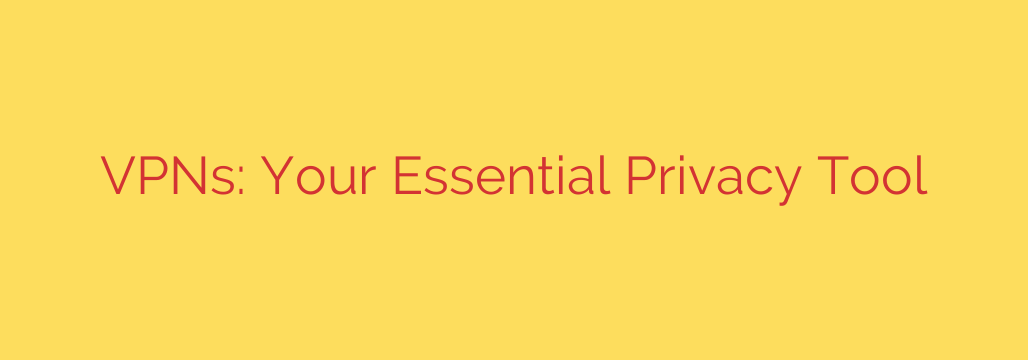 VPNs: Your Essential Privacy Tool